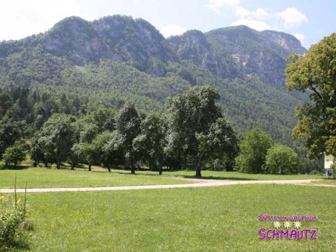 Schmautz Ferienwohnungen & Zimmer Miklauzhof Экстерьер фото